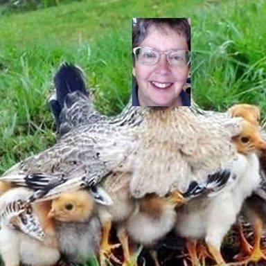 Photo of Pauline B.