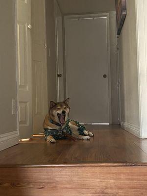 photo of Jennifer N.