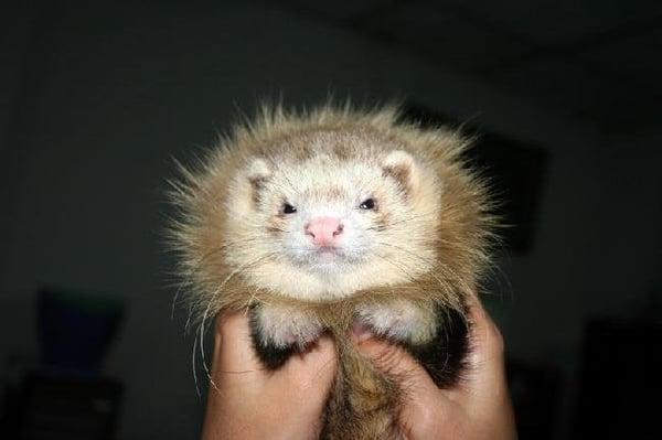 Photo of Panita N.
