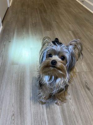 photo of Jacqueline D.