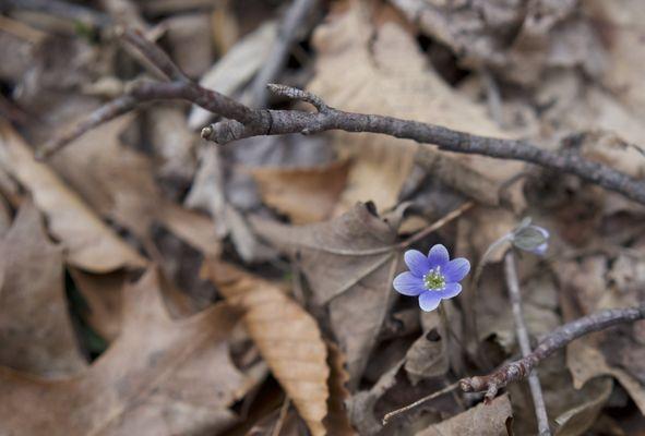 photo of Jennifer M.