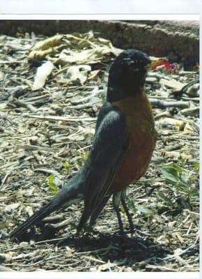 Photo of Christina J.