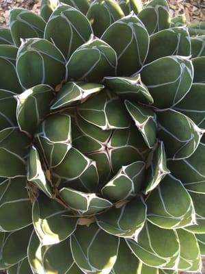 photo of Katherine R.