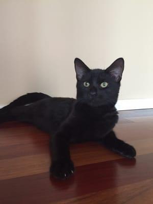 Photo of Jess Z.