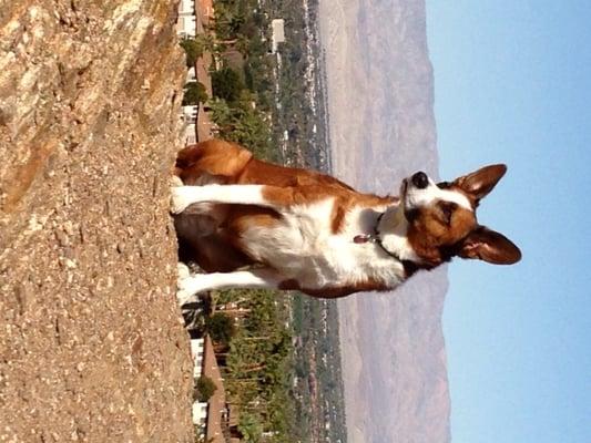 Photo of Doof R.