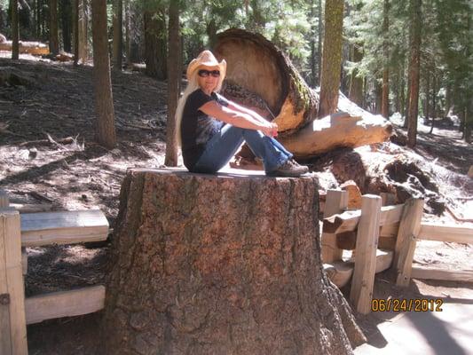 Photo of Lori M.