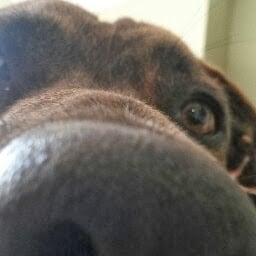 photo of Madeline B.