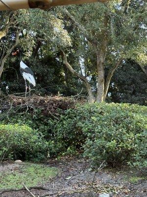 photo of Brittany B.