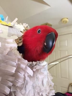 photo of Isabelle B.