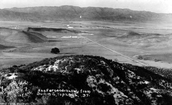 Photo of Mike M.