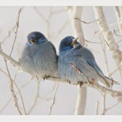 Photo of Victoria C.