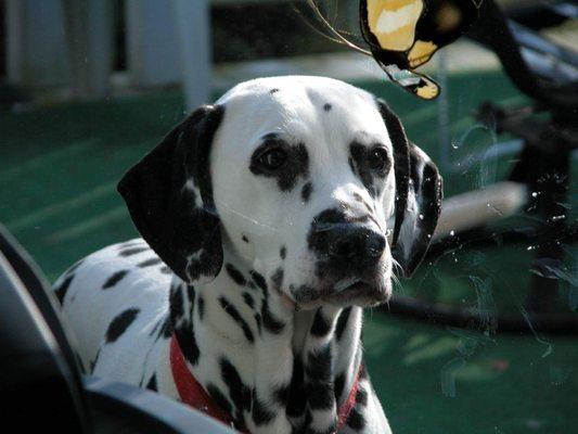 photo of Christina C.