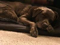 photo of Patricia B.