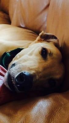 photo of Paul Marshal W.