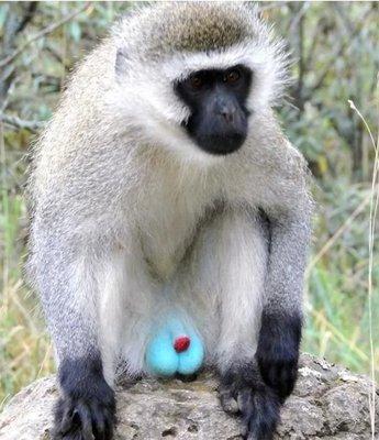 photo of Micheleda S.