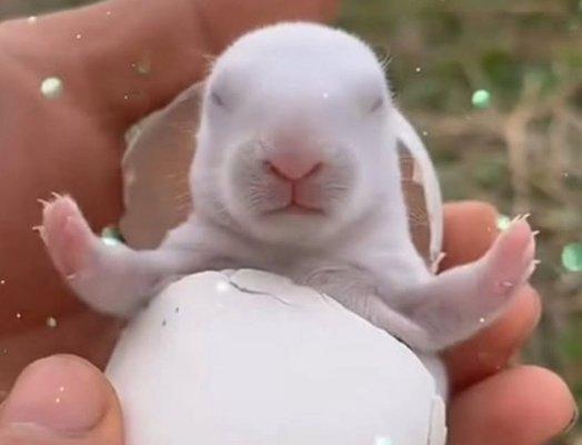 photo of kathleen f.