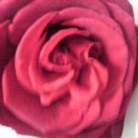 photo of Rosemary B.