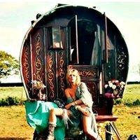 Photo of Gypsy B.