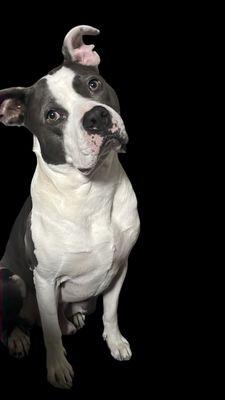 photo of Alexandrea E.