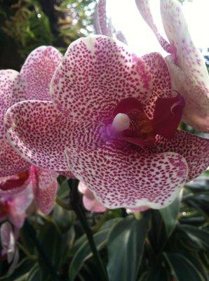 photo of Amanda Louise B.