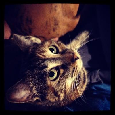 Photo of Elle M.
