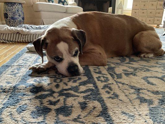 photo of Alexandra M.