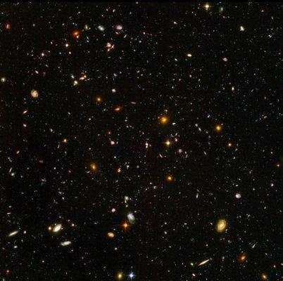 Photo of Veronica S.