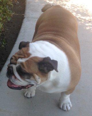 photo of Christina J.