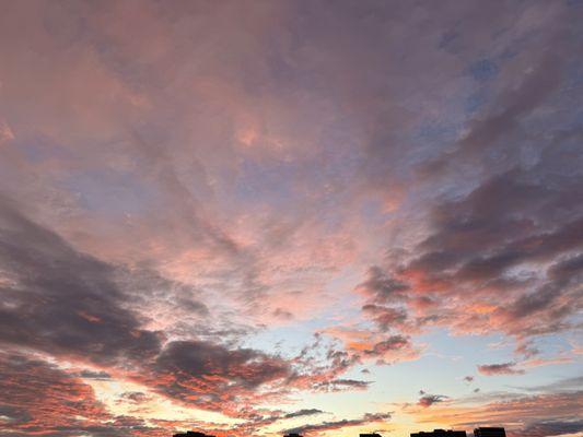 photo of Jazzington H.