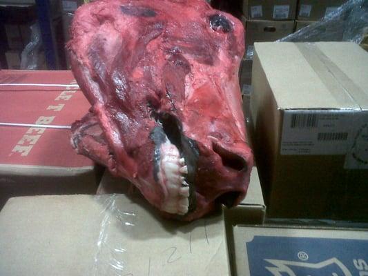 Photo of Chocolate M.