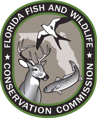 Photo of Bass Fish Florida F.