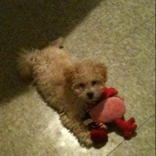 Photo of Marley B.