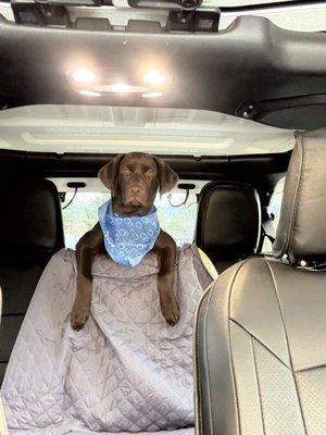 photo of Jennifer D.