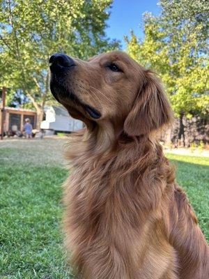 photo of Justy And Lolee B.