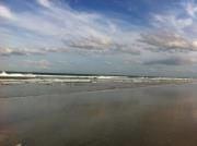 photo of Michelle A.