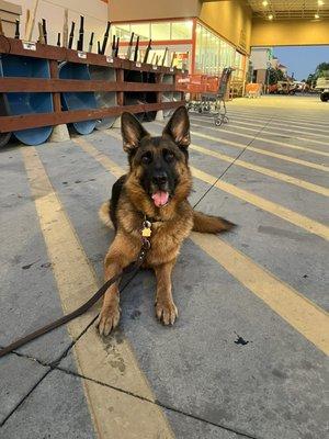 photo of Rosemary C.