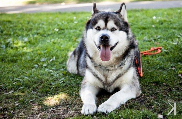 photo of Michelle R.