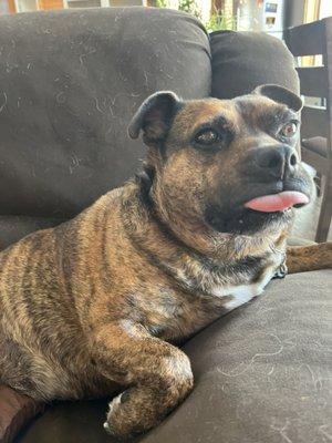 photo of MalachiExtreme33 H.