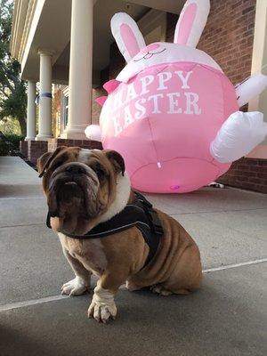 photo of Christopher C.