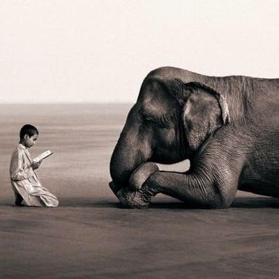 photo of Anonymous A.