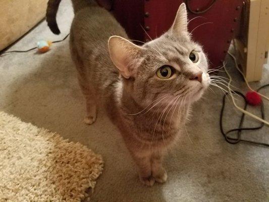 photo of Jennifer W.