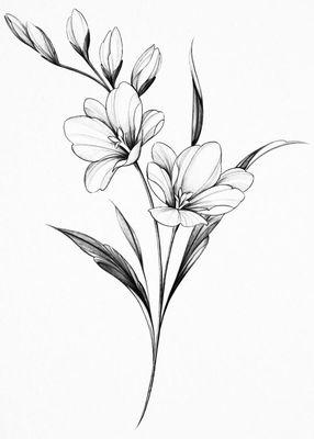 Photo of Freesia Y.