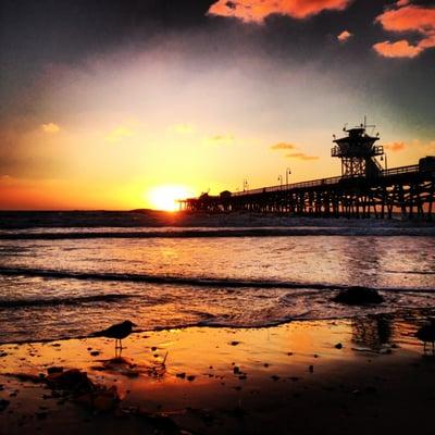 photo of Catherine N.