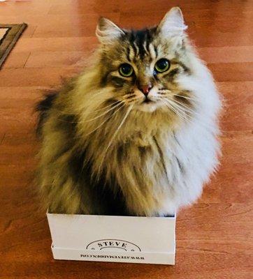 photo of Jennifer D.