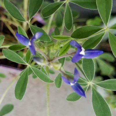 photo of Mary Ann M.