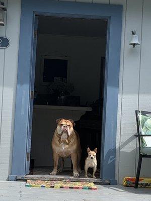 photo of Christina K.