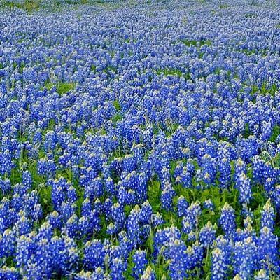 photo of Courtney O.