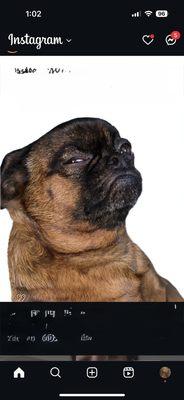 photo of Sebastain S.