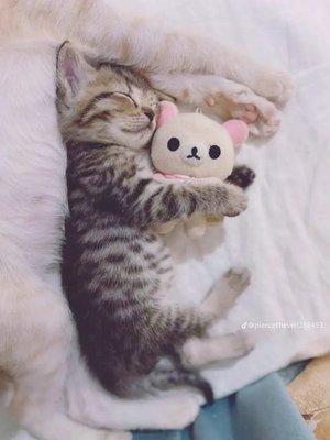 photo of the last person o.