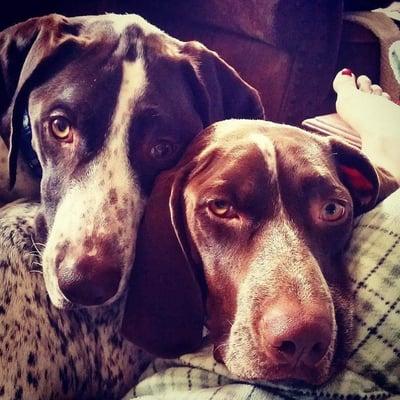 photo of Michelle R.